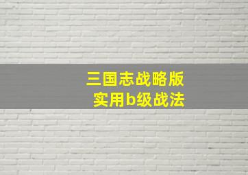 三国志战略版 实用b级战法